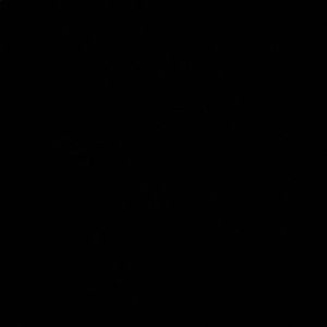 Meet your Posher, Warner